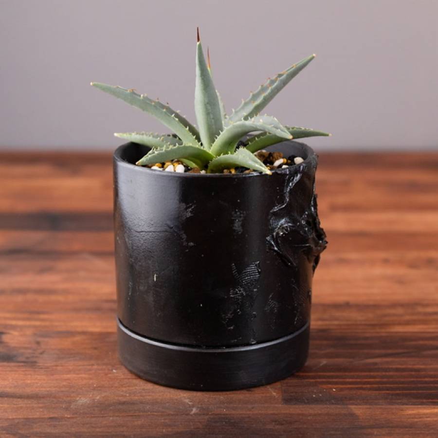 LABELpot AGAVE HYBRID